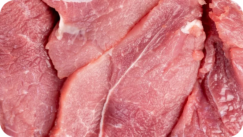 Pork market used for European pig and pork price indices