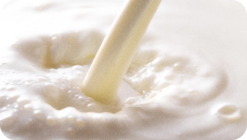 Milk used in dairy valorization analysis